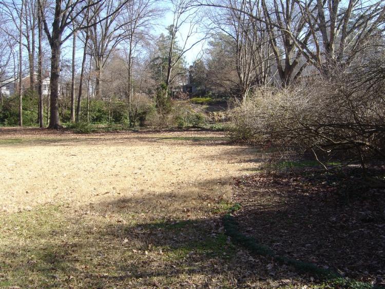 Rose Garden 01 2009 09