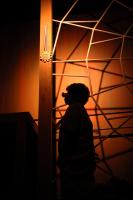 Charlotte's Web 1007